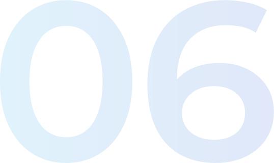 06
